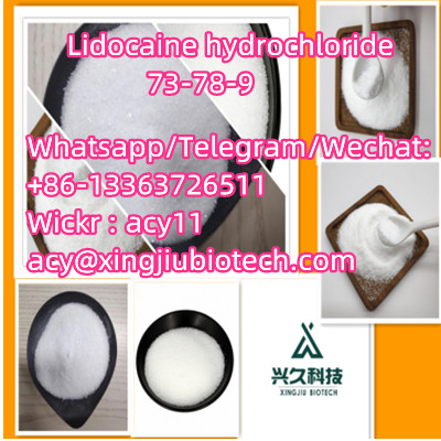 Top Quality Factory Supply 99%  Lidocaine hydrochloride CAS73-78-9